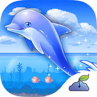 Dolphin Race Show