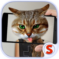 Face Scanner: What Cat 3