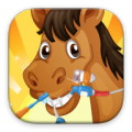 Horse Dentist