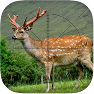 Deer Sniper: Hunting Game