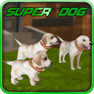 Super puppy adoption 3D game