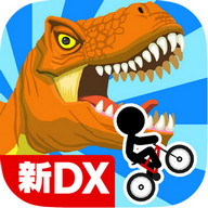 New BikeRiderDX