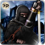 Ninja asesino rotura cárcel 3D
