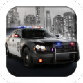 Police Speed Car