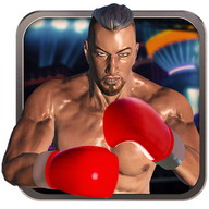 Real 3D Boxing Punch