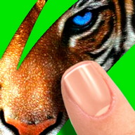 Scratch: Guess animal