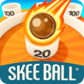 Skee Ball Arcade