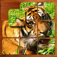 Animal jigsaw puzzles 2 (FREE)