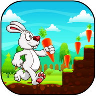 Bunny Run