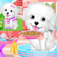 Fluffy Puppy Pet Spa And Care
