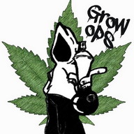 Grow Ops Weed Firm Game