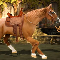 Horse Simulator Run 3D