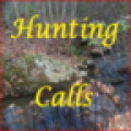 Hunting Calls