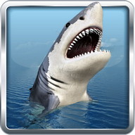 Angry Shark Shooter 3D