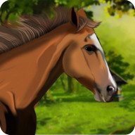 Horse Riding Adventure 2017-Horse Racing & Jumping