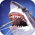Kill Shark Hunter