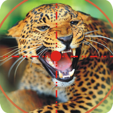 Wild Animal Hunting Game : Sniper Mission Android Trò chơi APK  (.) bởi AppsLogix - Tải xuống  điện thoại di động của bạn từ PHONEKY