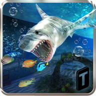 Angry Shark Revenge 3D