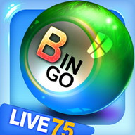 Bingo City Live 75+Vegas slots