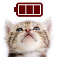 Cat Battery Saving