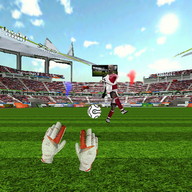 Football Games Goalkeeper 3D