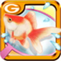Master of Goldfish