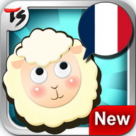 TS French Conversation Game