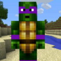 Turtle Ninja Run