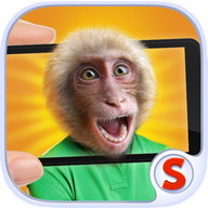 Face scanner: What Monkey