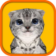 Cat Simulator HD