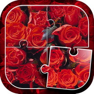 Roses Jeu de Puzzle