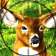 Hunt The Deer