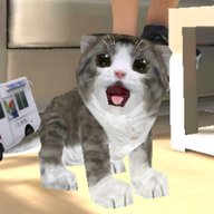 Real Cat Simulator