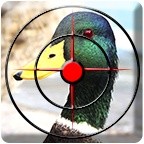 Duck Hunting Season