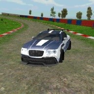 Fast 3D Furious Rally Driver