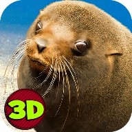 Seal Simulator