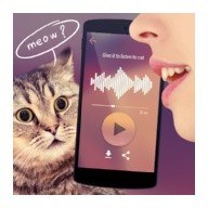 Cat Voice Translator