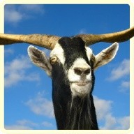 Goat Simulator 2016 3D