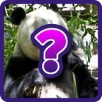 Guess The Animal - Photo Quiz
