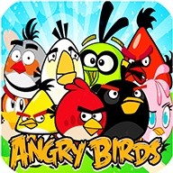 Angry Birds Breaker:Bricks breaker challenge