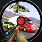 Highway Shooting