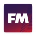 Football Manager 2019 Guide
