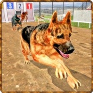 Dog Stunt Training 3D