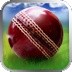 Cricket WorldCup Fever
