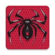 Spider Solitaire