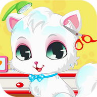 Pet Cat Spa And Salon Games HD