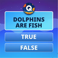 Fun Trivia Game. Questions & Answers. QuizzLand