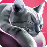 CatHotel - play with cute cats