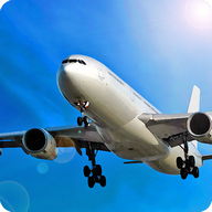 Avion Flight Simulator ™
