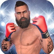 Fight Mania 3D